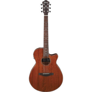 Ibanez AEG220-LGS - Slimline Electro Acoustic - Low Gloss