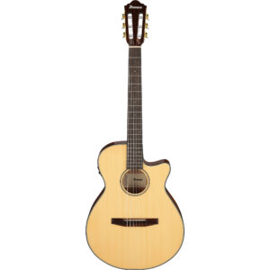 Ibanez AEG50N-NT - Nylon-String Electro Acoustic Guitar, Spruce Top - Natural High Gloss
