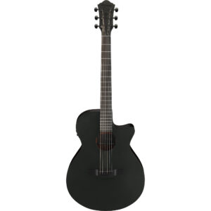 Ibanez AEG621-BOT AEG-Series Electro Acoustic - Black Out