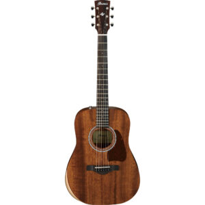 Ibanez AW54JR-OPN - Artwood Acoustic Guitar - Open Pore Natural