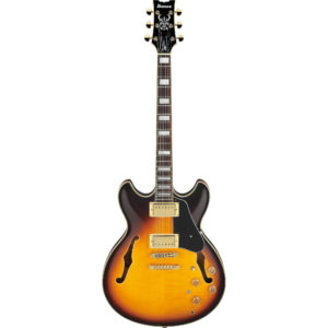 Ibanez JSM10EM-TTB John Scofield Signature Semi-Hollow Guitar - Two-Tone Burst