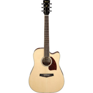 Ibanez PF16WCE-NT - PF=Series Electro Acoustic - Natural High Gloss