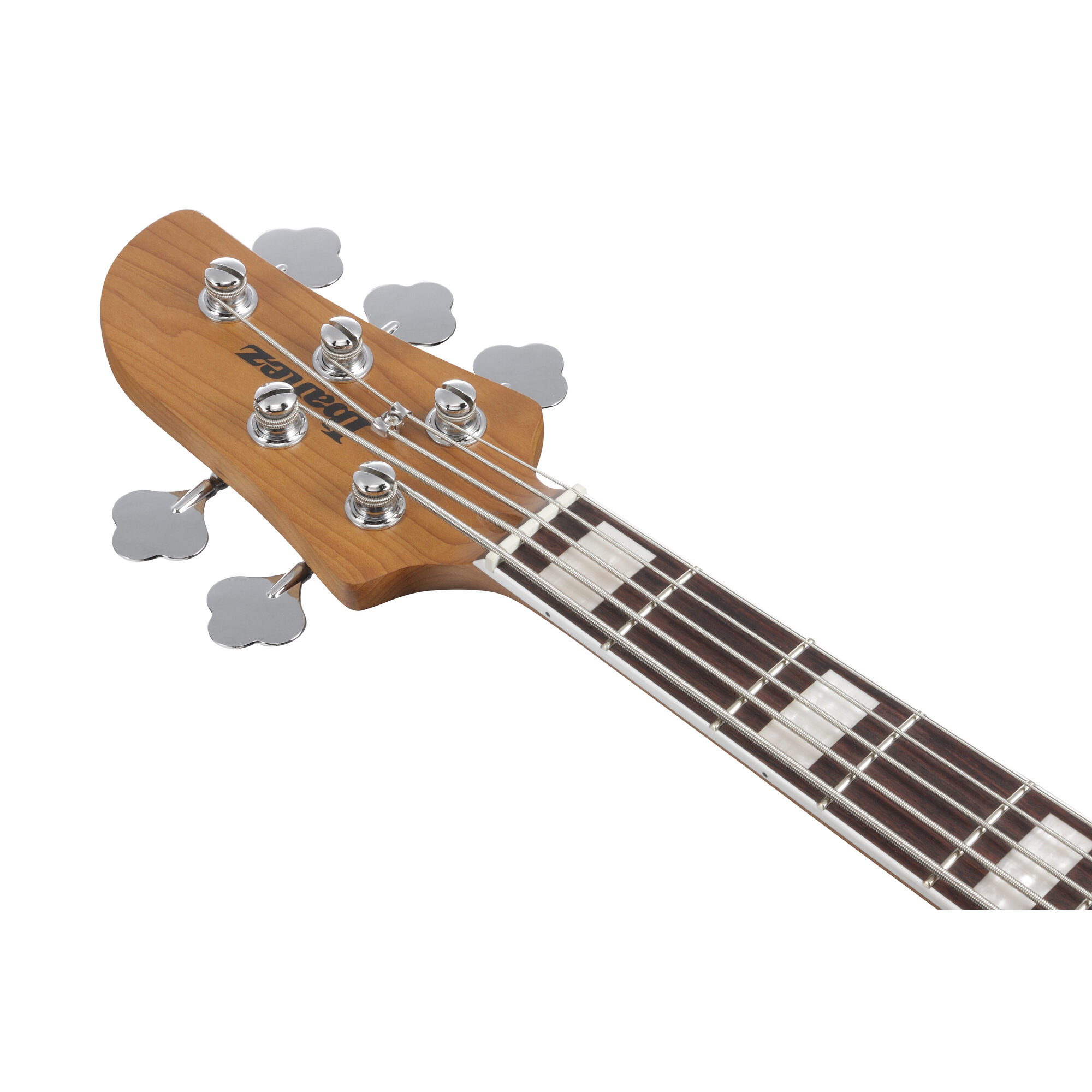 Ibanez TMB405TA-CBS - Talman 5-String - Bass Guitar - Cosmic Blue Starburst - Image 10