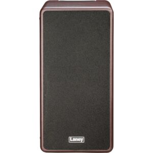Laney A-Duo: